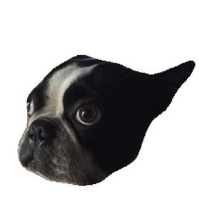 Meet your Posher, Jill